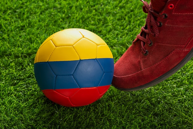 Free photo still life of colombian national soccer team