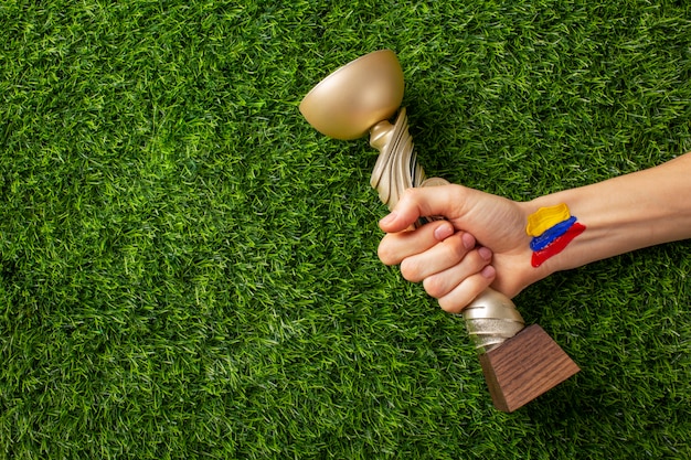 Still life of colombian national soccer team