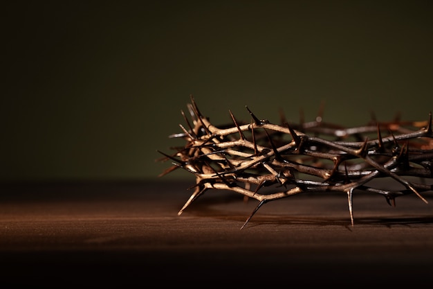 Still life of crown of thorns