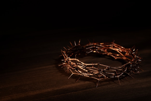 Still life of crown of thorns