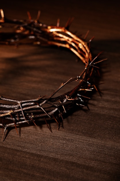 Free photo still life of crown of thorns