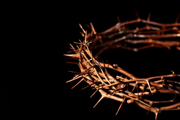 Still life of crown of thorns