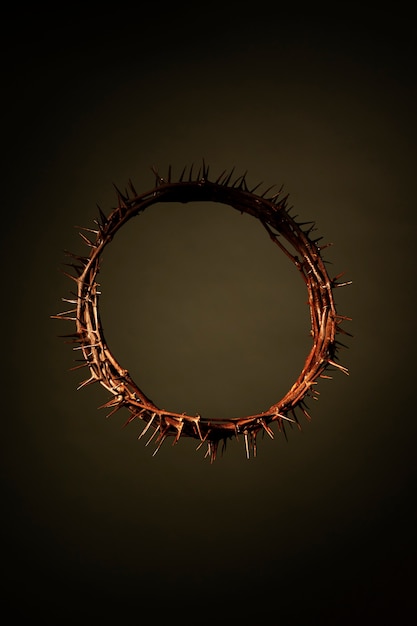 Free photo still life of crown of thorns