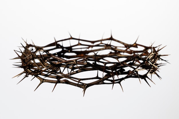 Still life of crown of thorns