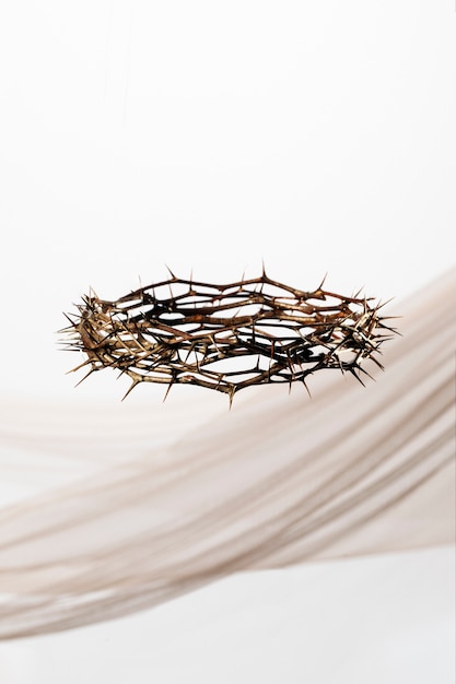 Free photo still life of crown of thorns