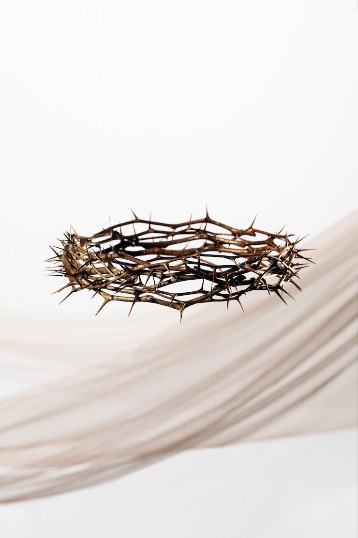 Free Photo still life of crown of thorns