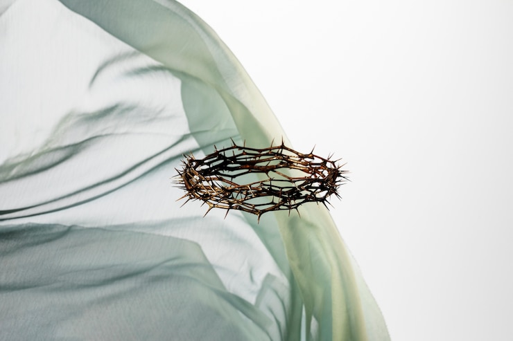 Free Photo still life of crown of thorns