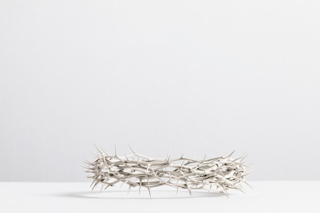 Still life of crown of thorns