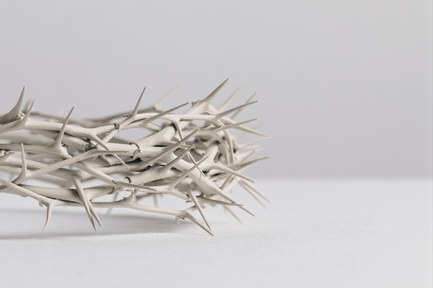 Free photo still life of crown of thorns