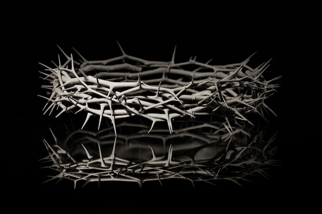 Free photo still life of crown of thorns