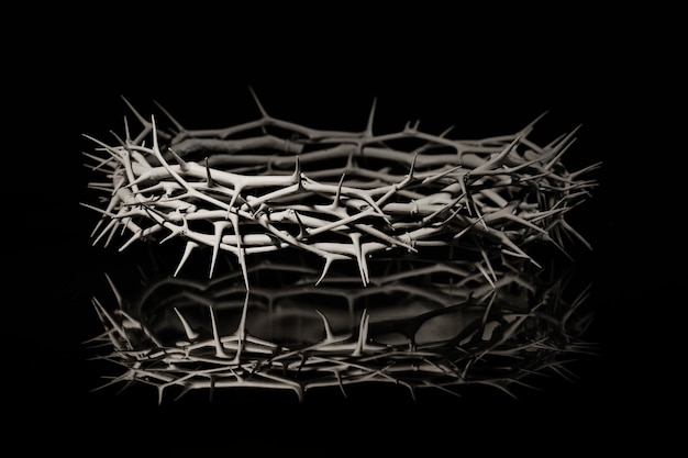 Still life of crown of thorns