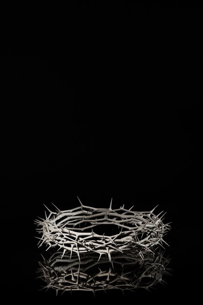 Still life of crown of thorns