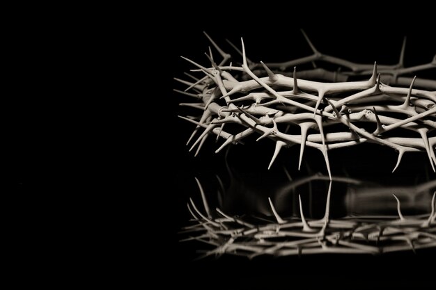 Still life of crown of thorns