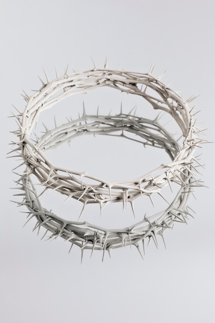 Free Photo still life of crown of thorns