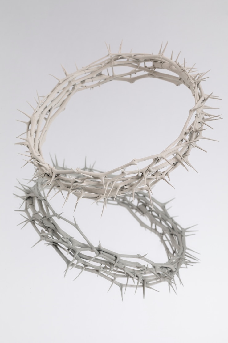 Free Photo still life of crown of thorns