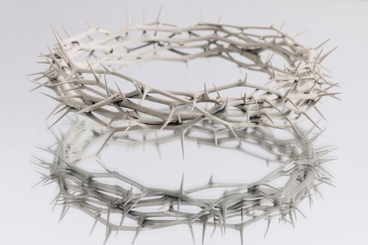 Free Photo still life of crown of thorns