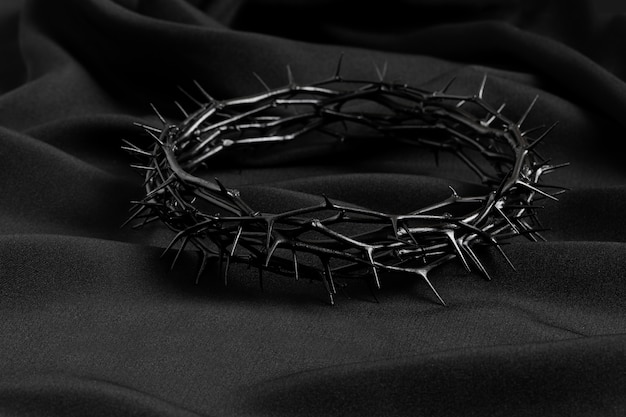 Free photo still life of crown of thorns