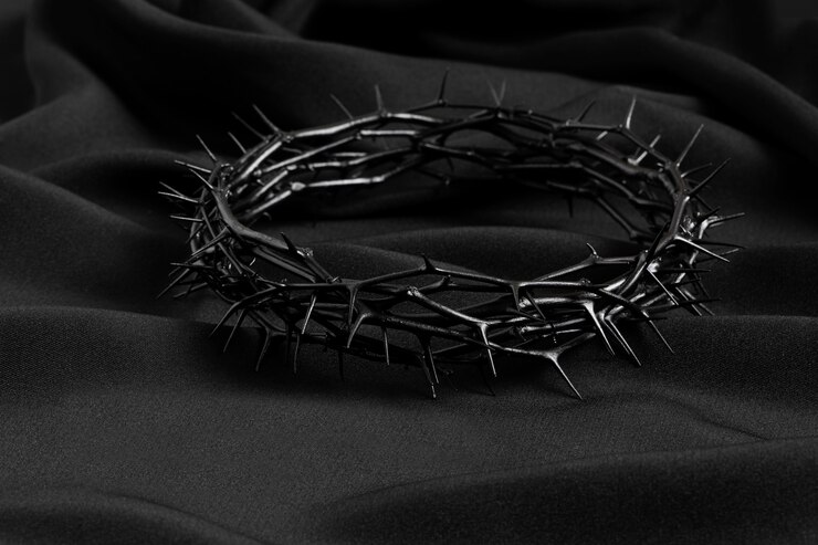 Free Photo still life of crown of thorns