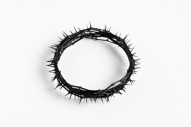 Free photo still life of crown of thorns