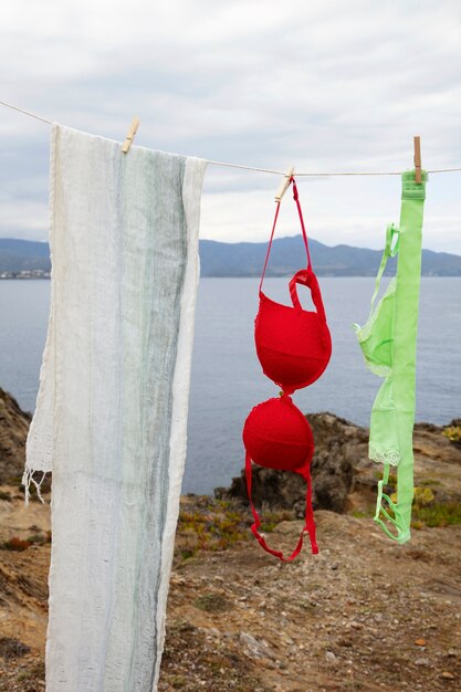 Still life of different types of bras outdoors