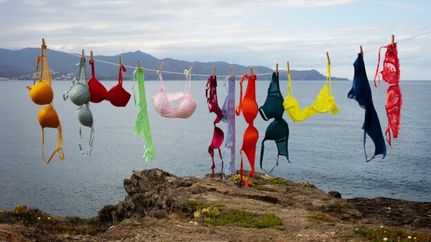 Still life of different types of bras outdoors