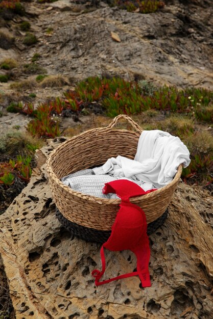 Still life of different types of bras outdoors