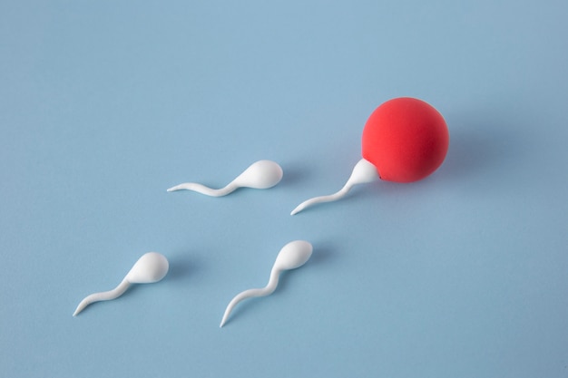 Free photo still life fertility concept high angle