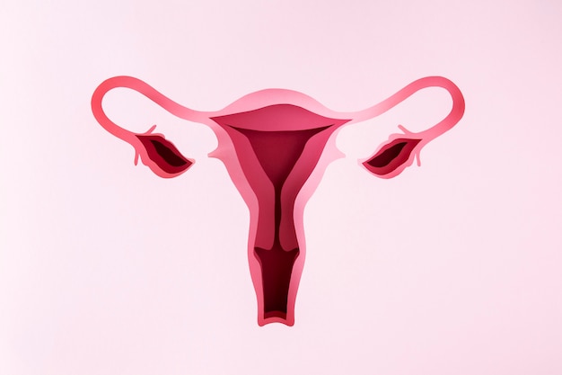 Free photo still life fertility concept top view