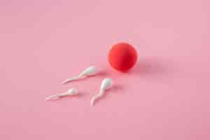 Free photo still life fertility concept