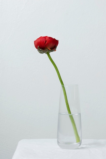 Still life flower in vase arrangement