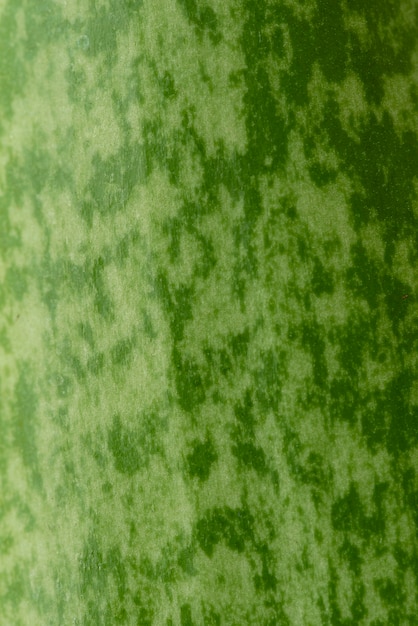 Бесплатное фото Натюрморт зеленое растение в помещении