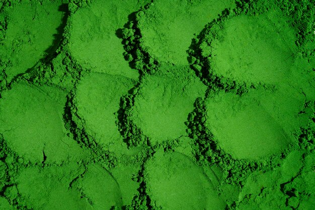 Still life of moss dust close up details