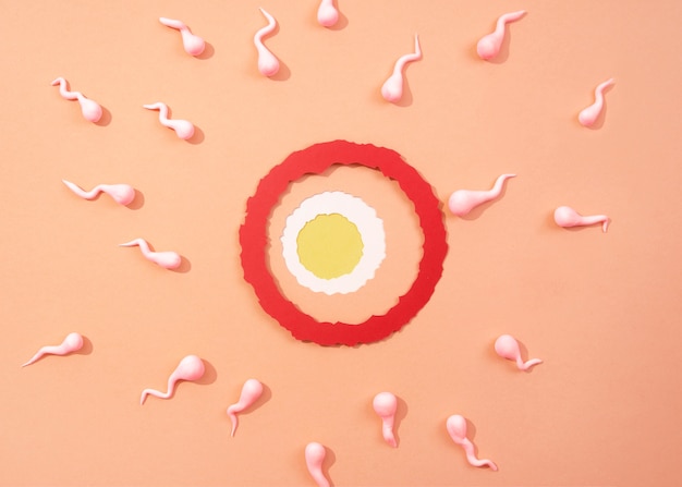 Натюрморт яичник в окружении сперматозоидов