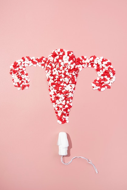 Still life ovary with hygienic menstrual pad