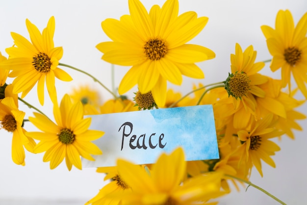 Still life peace day arrangement with flower