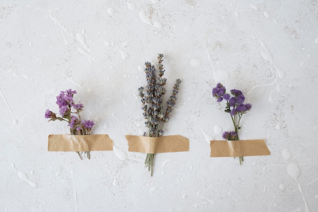 Still life peace day arrangement with flower