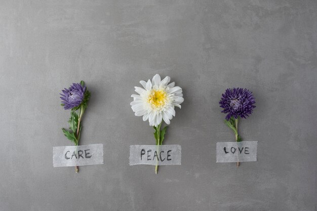 Still life peace day arrangement with flower