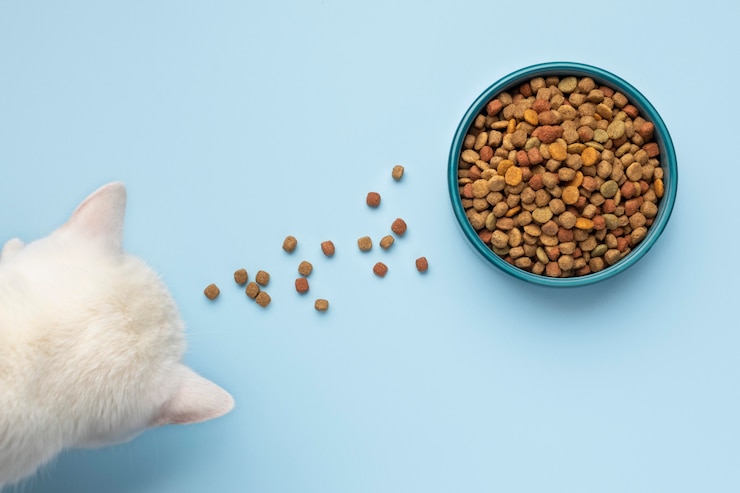 Free Photo still life pets food assortment