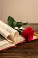 Free photo still life of sant jordi for the day of books and roses