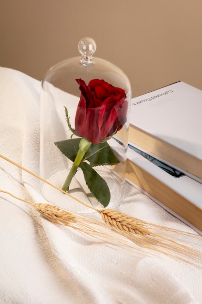 Still life of sant jordi for the day of books and roses