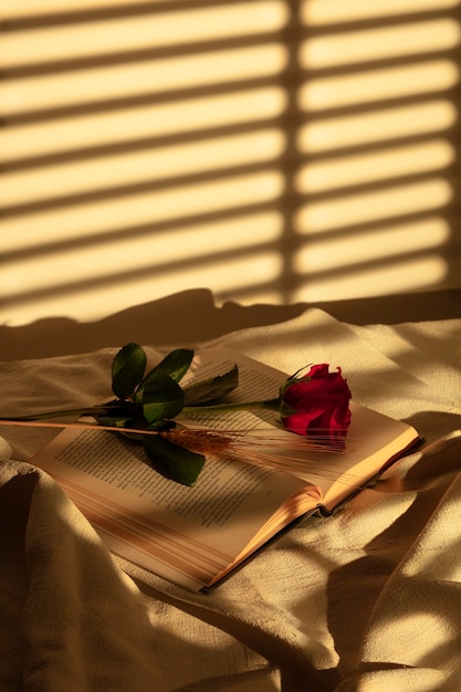 Foto gratuita natura morta di sant jordi per il giorno dei libri e delle rose