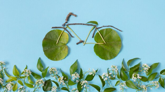 still life sustainable lifestyle elements composition