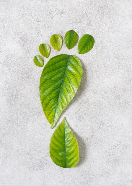 静物 持続可能なライフスタイル要素の構成