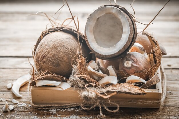 코코넛 정물화