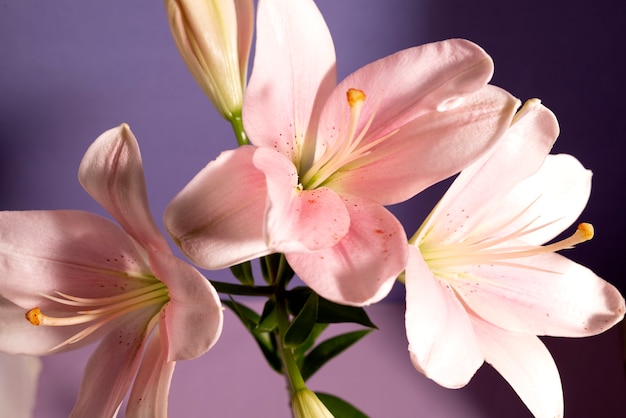 Still life with flower arrangement