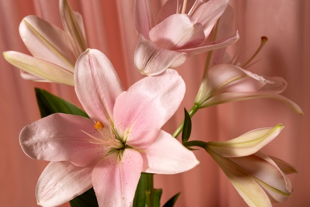 Still life with flower arrangement