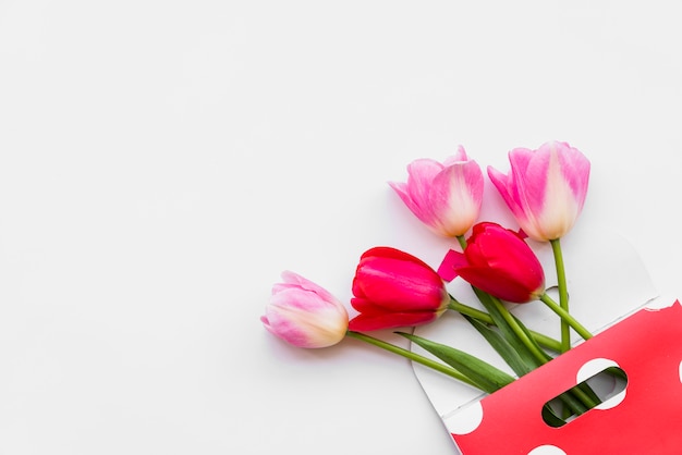  Still life with flower in envelope on white background