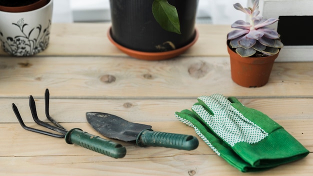 Free photo still life with gardening concept