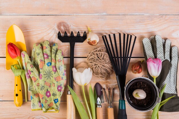 Still life with gardening objects