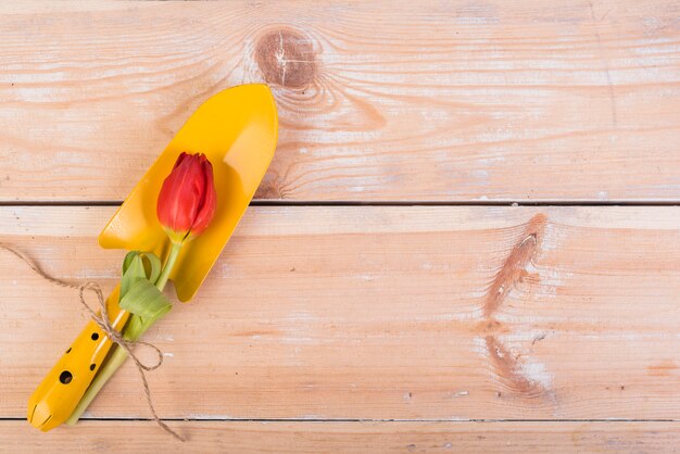 Still life with gardening objects